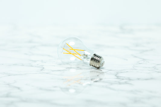 Satco A19 Standard LED Light Bulb
