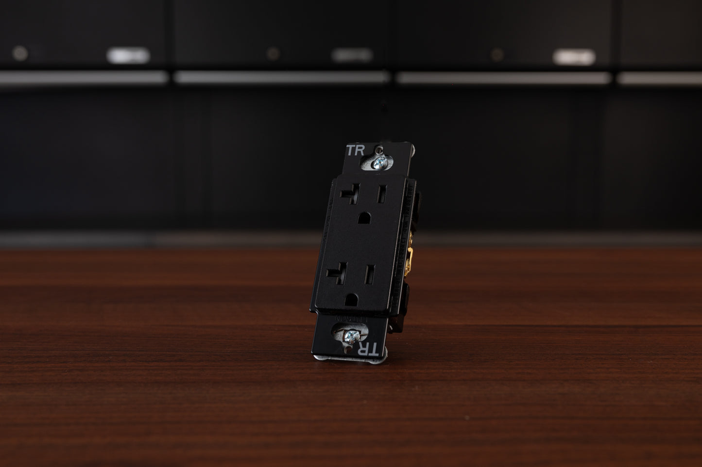 Lutron 20 Amp Receptacle